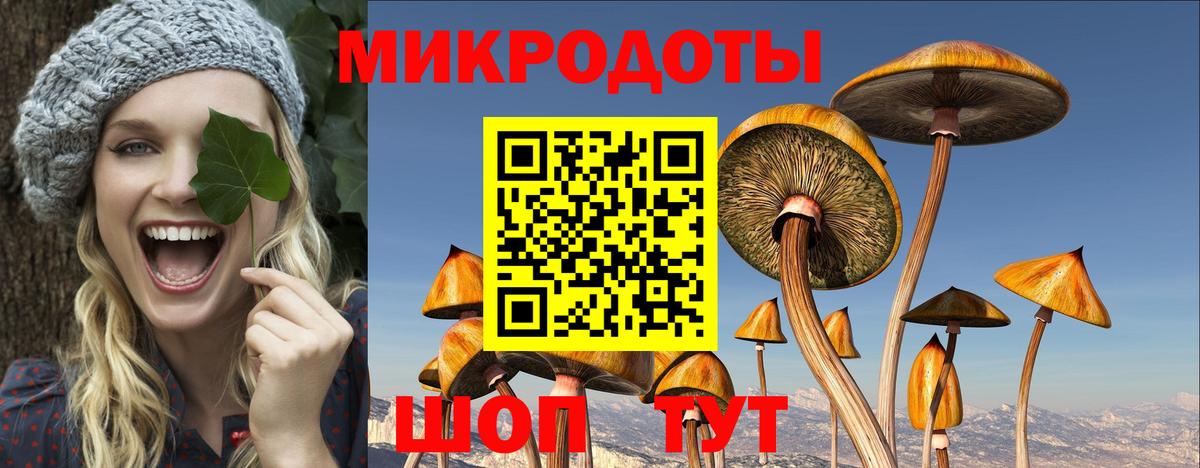 Котовск  Псилоцибиновые грибы Cubensis  Вход с VPN  Псилоцибиновые грибы ЛСД 